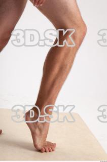 Leg reference of Dionyz 0009